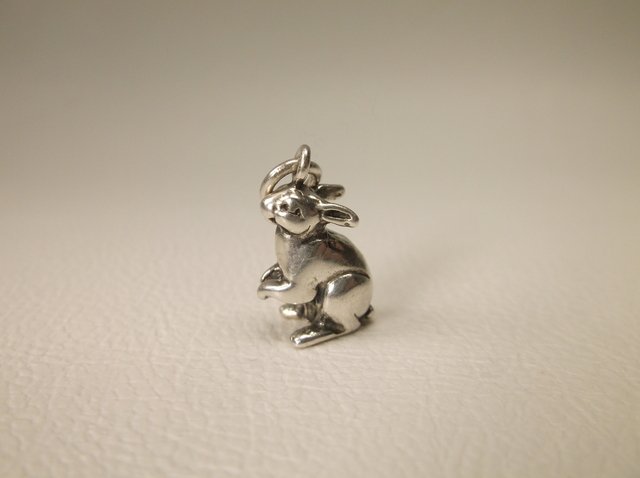 Beautiful Sterling Silver Rabbit Charm (1 of 1)
