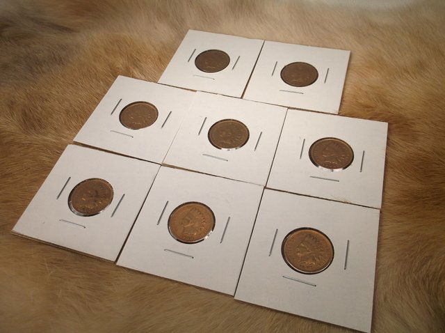 8 US Indian Head Pennies Various Dates (1 of 2)