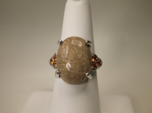 Gorgeous Sterling Silver Fossilized Ring 7 (1 of 2)