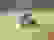 item-45742005=2