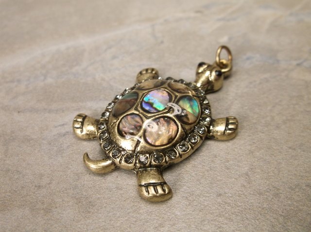 Gorgeous Abalone Turtle Pendant (1 of 1)