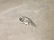 Gorgeous Sterling Shooting Star Charm