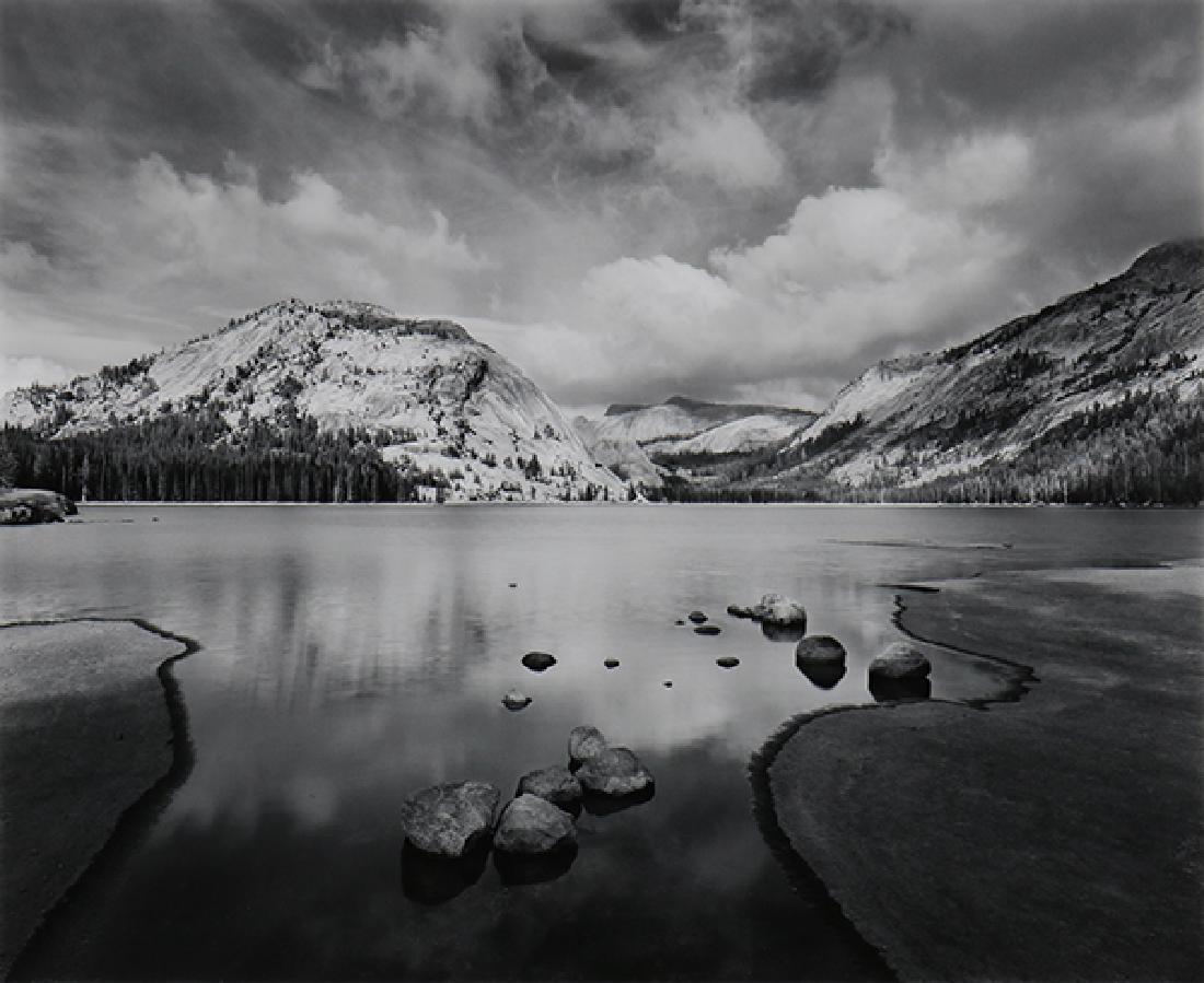 Photograph, John Sexton (1 of 4)