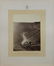 Photograph, William Bell - 2