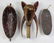 (lot of 3) Ethnographic mask group - 3