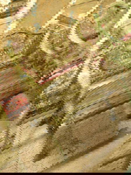 Cast iron railway bench: Cast iron garden armchair with camel medallion