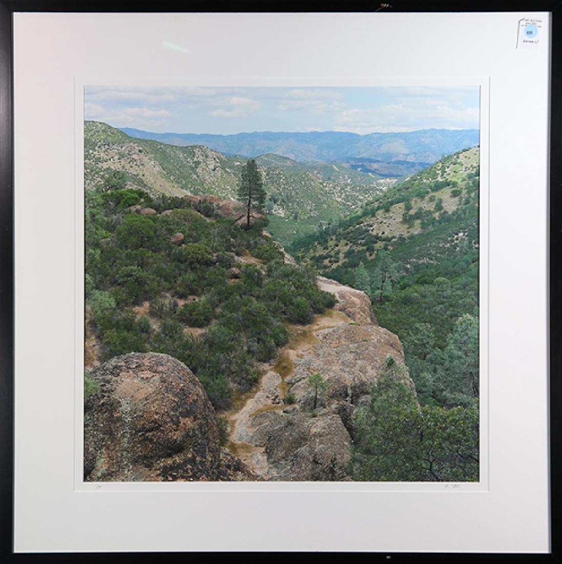 Photograph, Peter Linden (1 of 1)