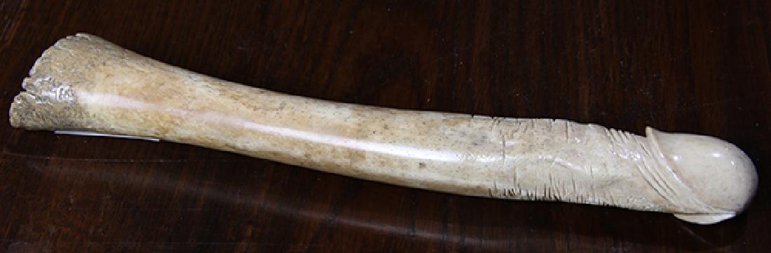 Polished Walrus Oosik (1 of 1)