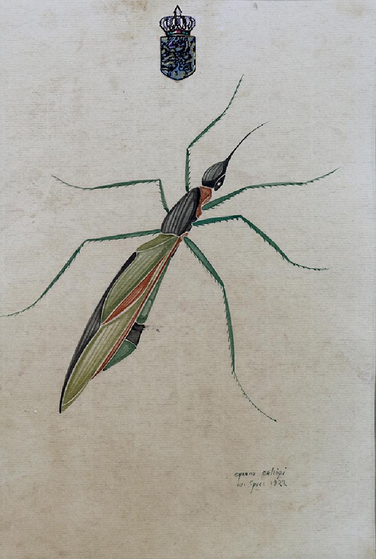 Watercolors, Walter Spies: (lot of 4) Walter Spies (Russian/Indonesian, 1895-1942), "Arachneido," "Minio Orthi," "Parasito Calle Aquano," Aquano Coliopi," 1922, watercolors, each signed, titled, and dated lower right, each bear