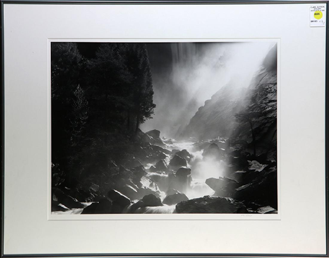 Photograph, Misty Creek (1 of 1)