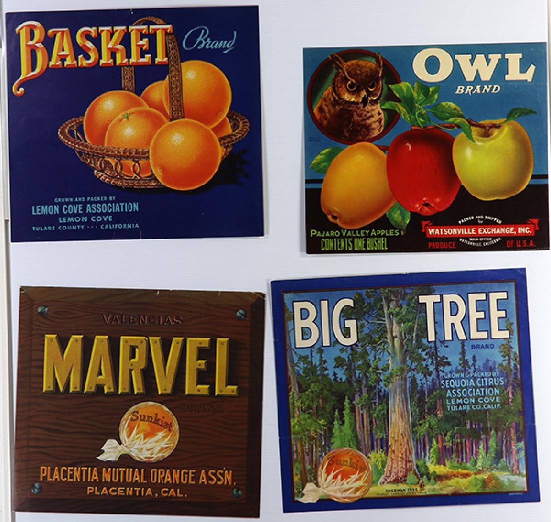 Prints, Ted Clark (1 of 2)