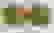 item-55717404=5