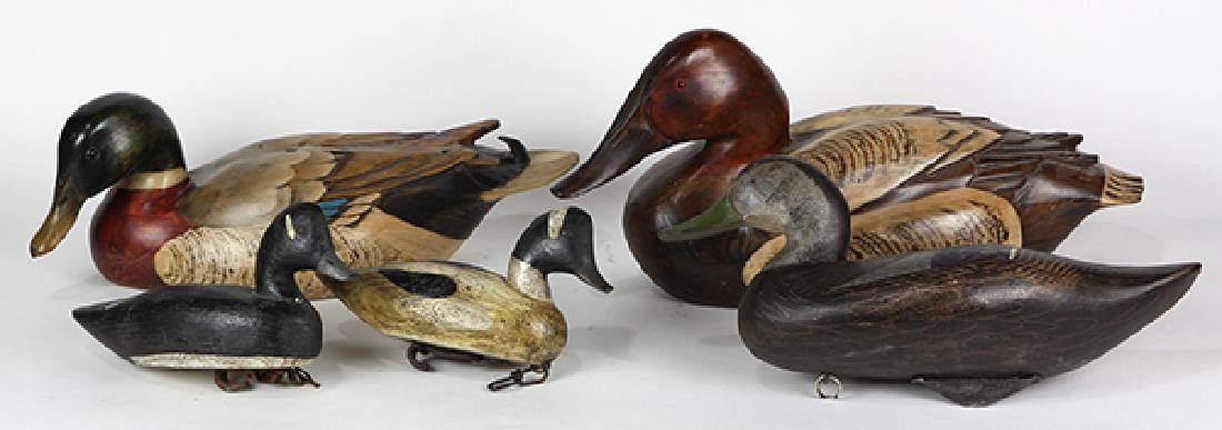 the decoy shop エルエルビーン デコイ ①