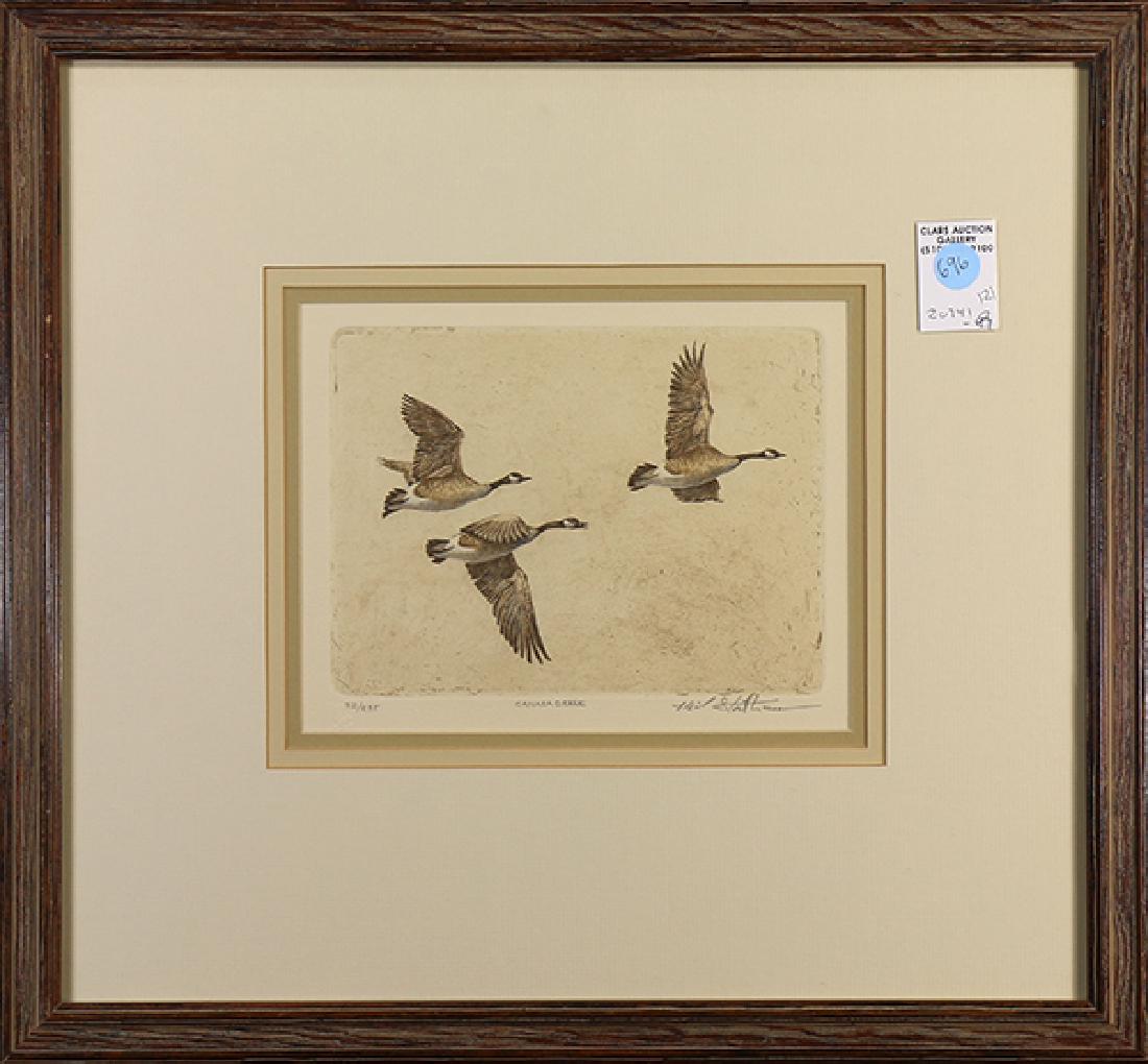 Prints, Wood Duck and Canadian Geese (1 of 2)