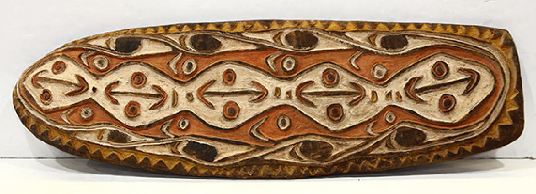 Large shield from the Hunstein Mountains region of (1 of 5)