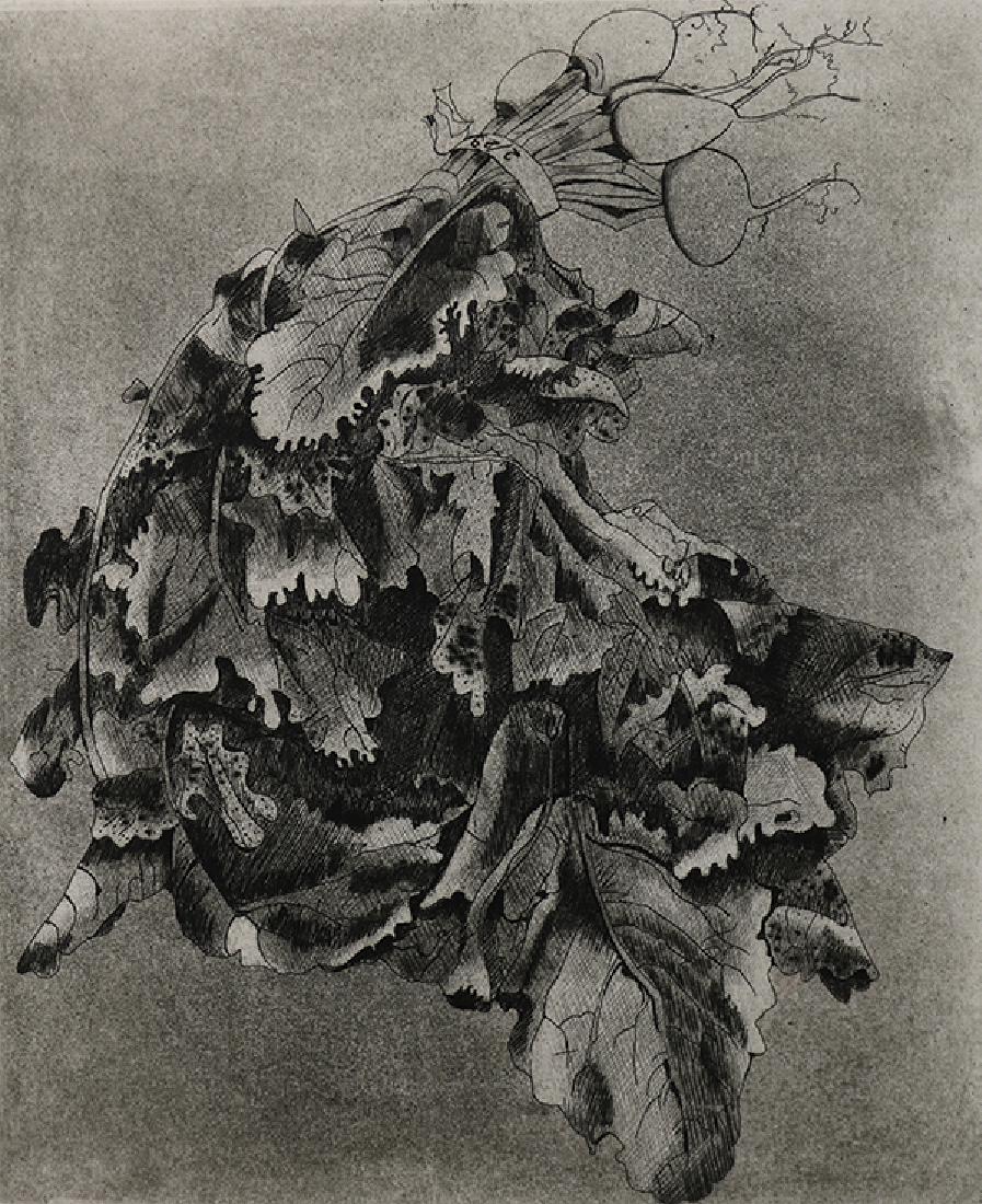 Print, Beth Van Hoesen, Turnips (1 of 6)