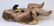 Italian Baroque style gilt and polychrome decorated - 5