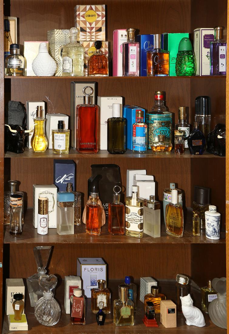 Four shelves of luxury perfumes (1 of 1)
