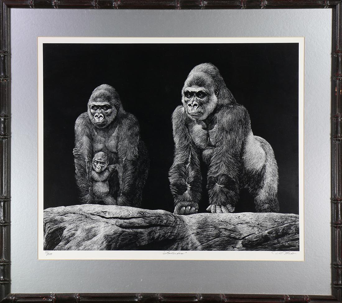 Print, Daniel C. Toledo, Gorilla Family (1 of 1)