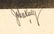 Print, John Melville Kelly - 4