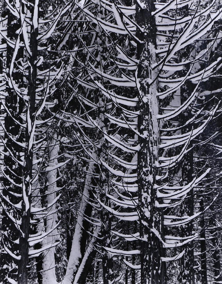 Photograph, Ansel Adams (1 of 3)