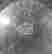 item-60717055=2