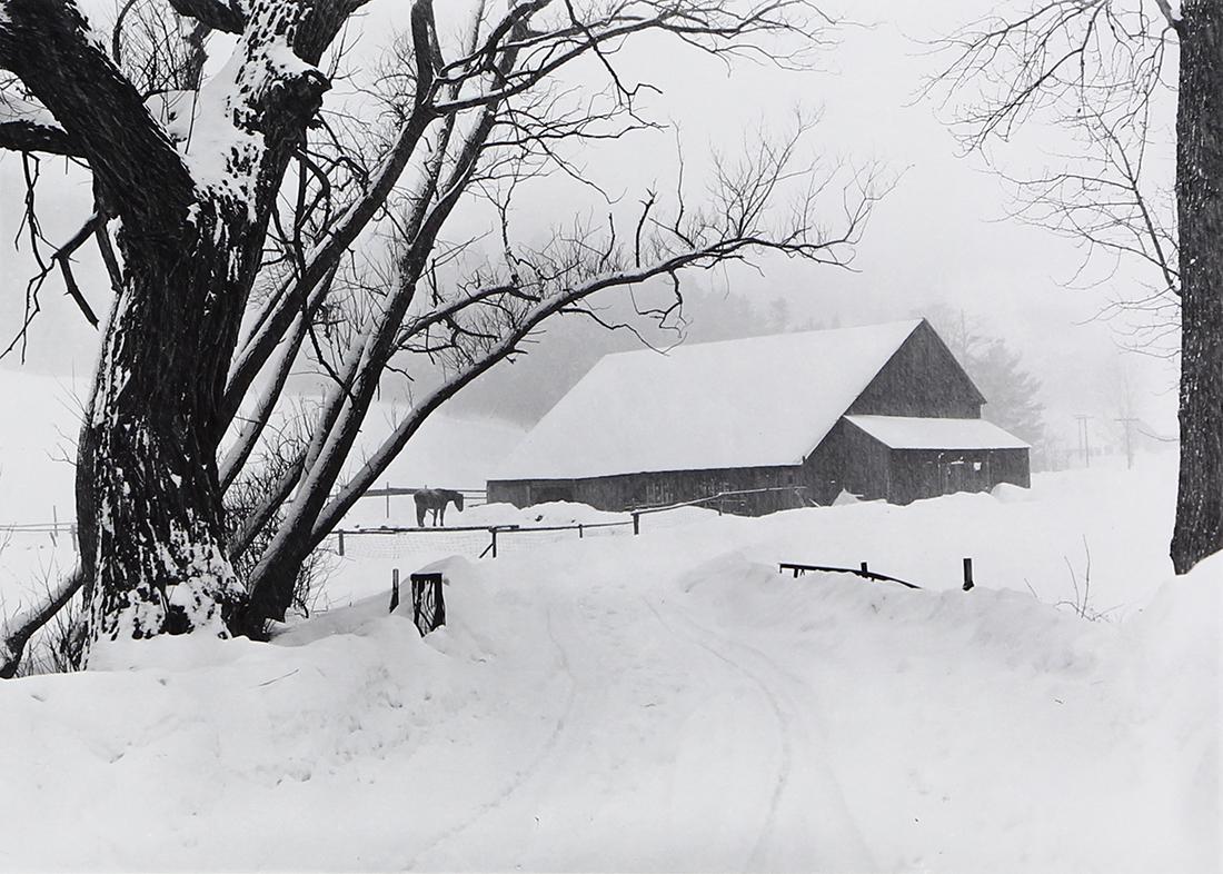 Photograph, Marion Post Wolcott, Barnyard in Blizzard, (1 of 4)