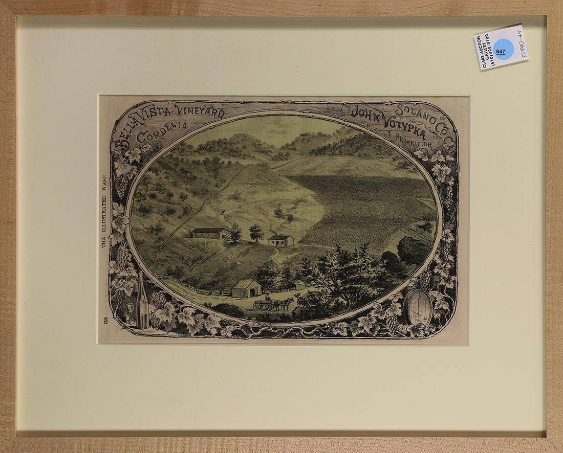 Print, Bella Vista Vineyard Cordelia, Solano County, (1 of 1)