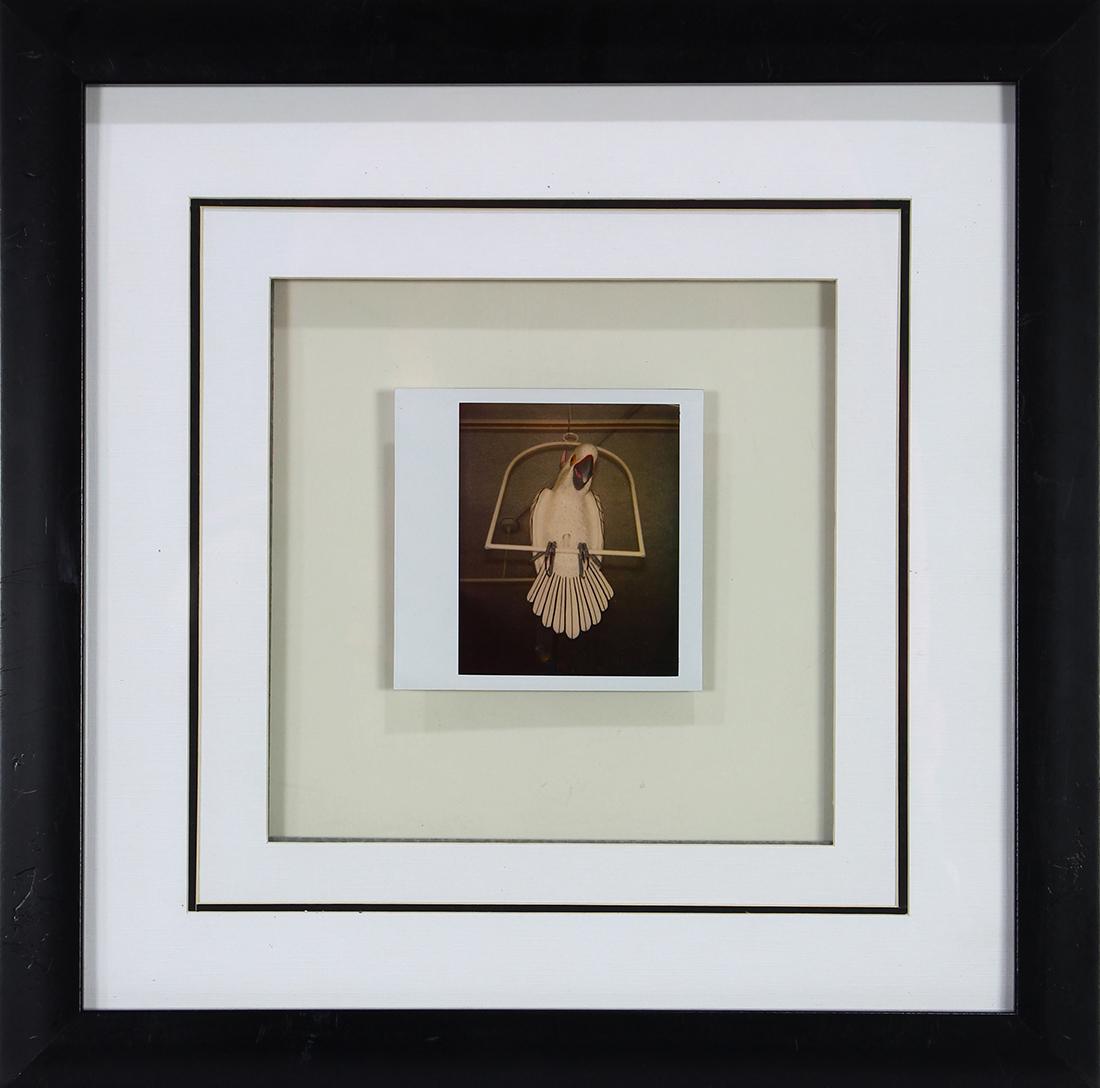 Polaroid, Andy Warhol (1 of 4)