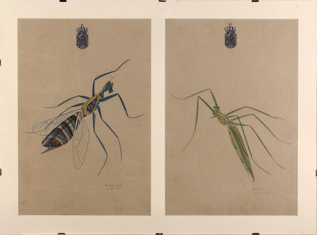 Watercolors, Walter Spies: (lot of 4) Walter Spies (Russian/Indonesian, 1895-1942), Insect Studies "Ordo Mortii," "Ordo Orthii," "Bombex Bombii," and "Grasshoppi," 1922, watercolors on paper, each signed and titled lower right,