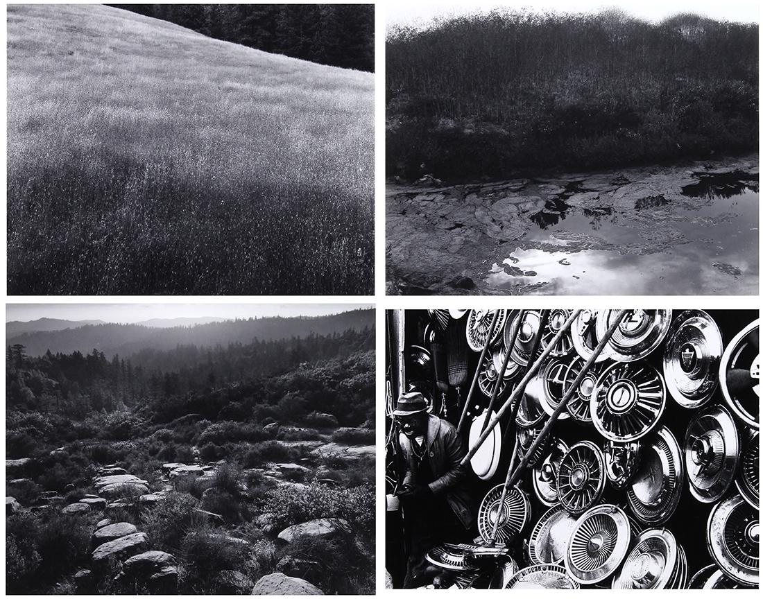 Photograph, Dwight Caswell (1 of 20)