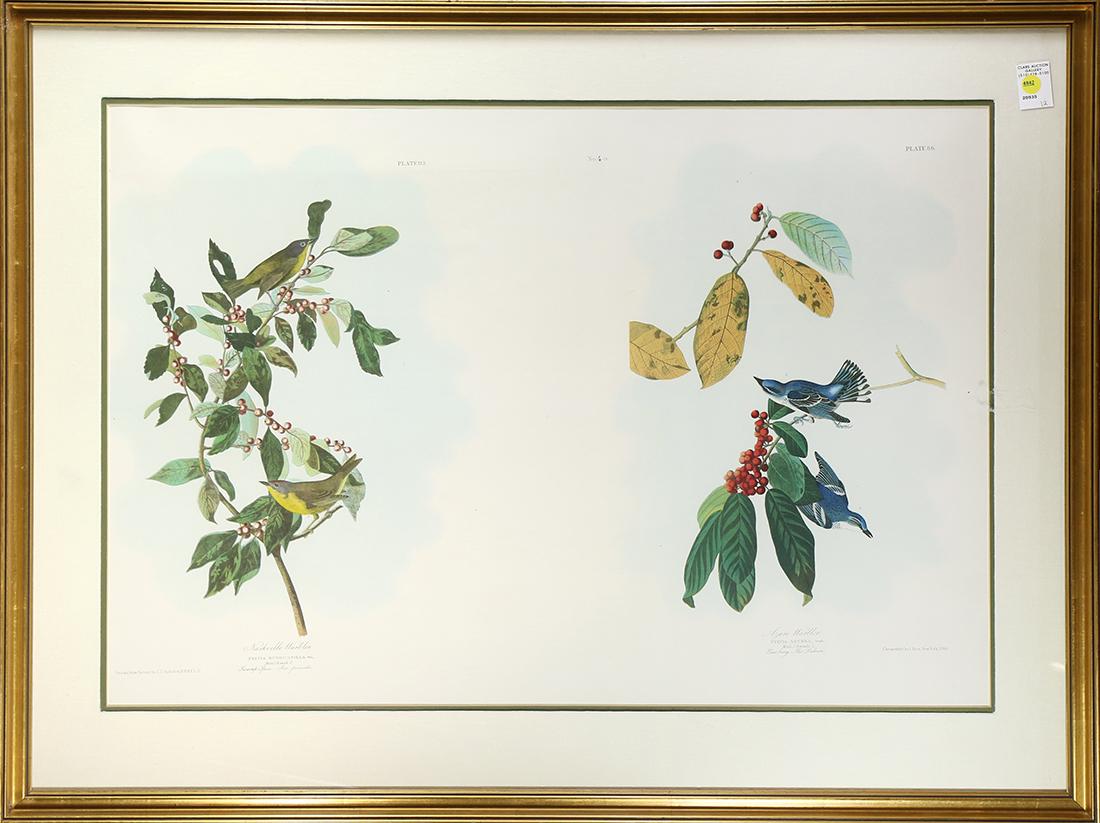 Print, After John James Audubon, Nashville Warbler and (1 of 1)