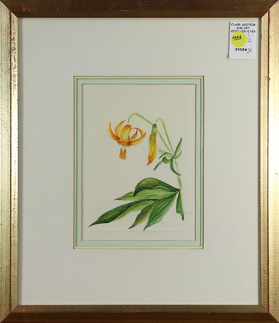 Prints, Daisies adn Tiger Lillies (1 of 2)