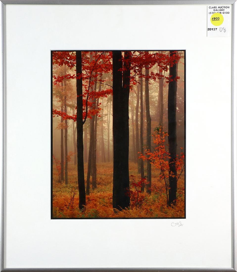 Photograph, Clinton Smith (1 of 1)