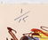 Print, John Connell - 4