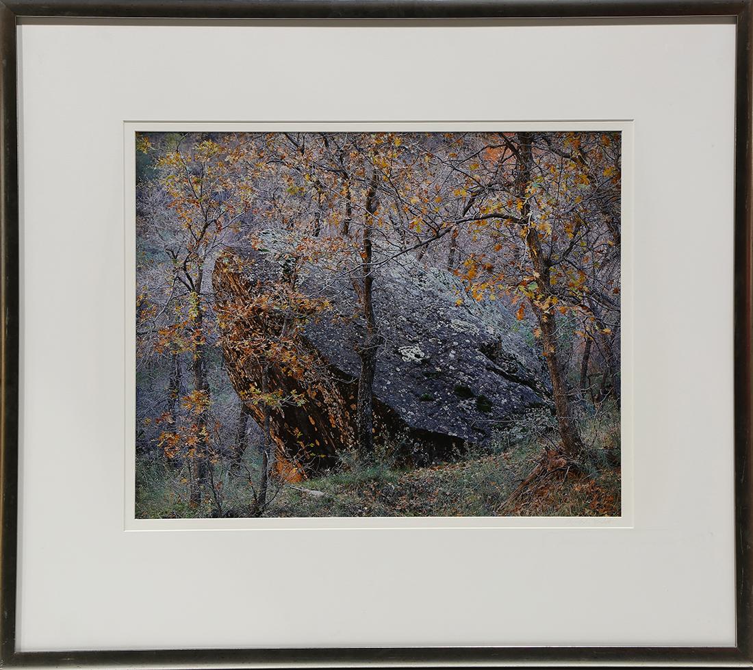 Photograph, Christopher Burkett (1 of 4)