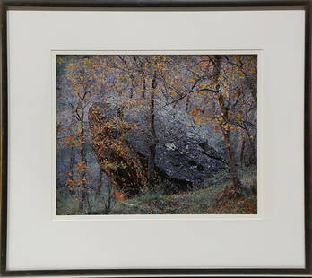 Photograph, Christopher Burkett: Christopher Burkett (American, b. 1951), Fall Tree - with Rock, chromogenic print, pencil signed on matting lower right, sight: 18.25"h x 22.75"w, overall (with frame): 30"h x 36.5"w. Provenance: Nest