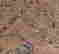 item-69036987=4