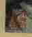 item-69037327=7