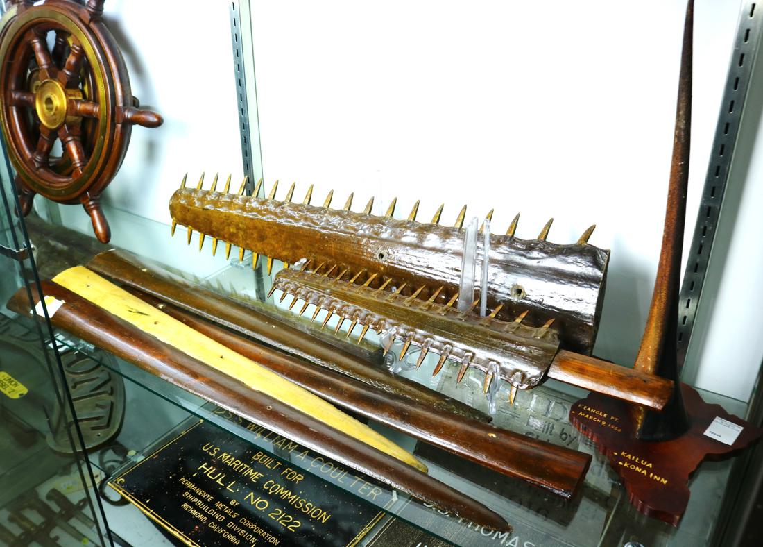 (lot of 7) Fish taxidermy group, consisting of a (1 of 6)