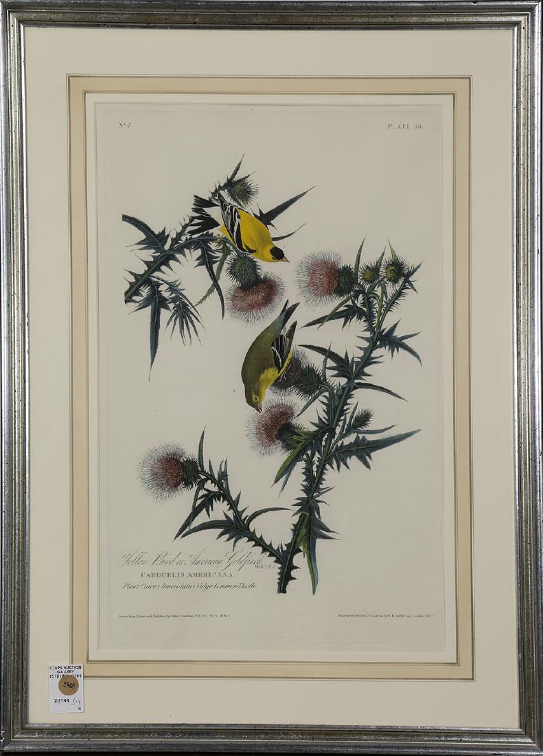 Print, John James Audubon (1 of 1)