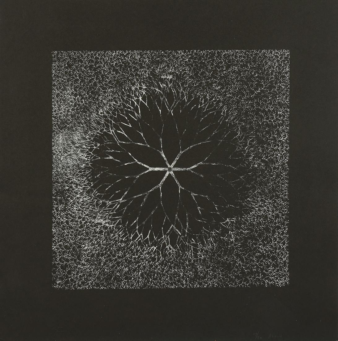 Print, Ruth Asawa (1 of 3)