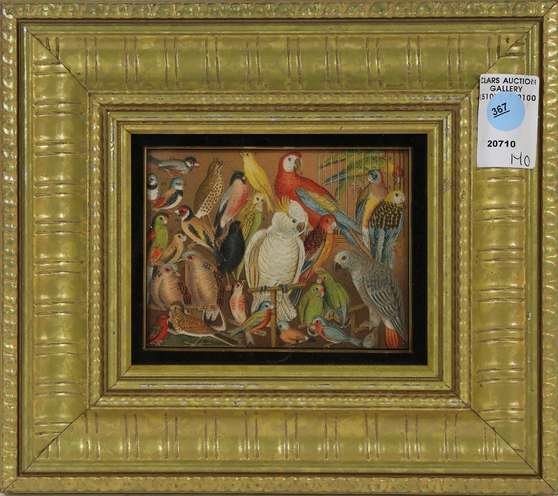 Print, Ornithological Print, Exotic Birds: Continental School (20th century), Ornithological Print, engraving with color-stamp, overall (with frame): 9.5"h x 10.5"w