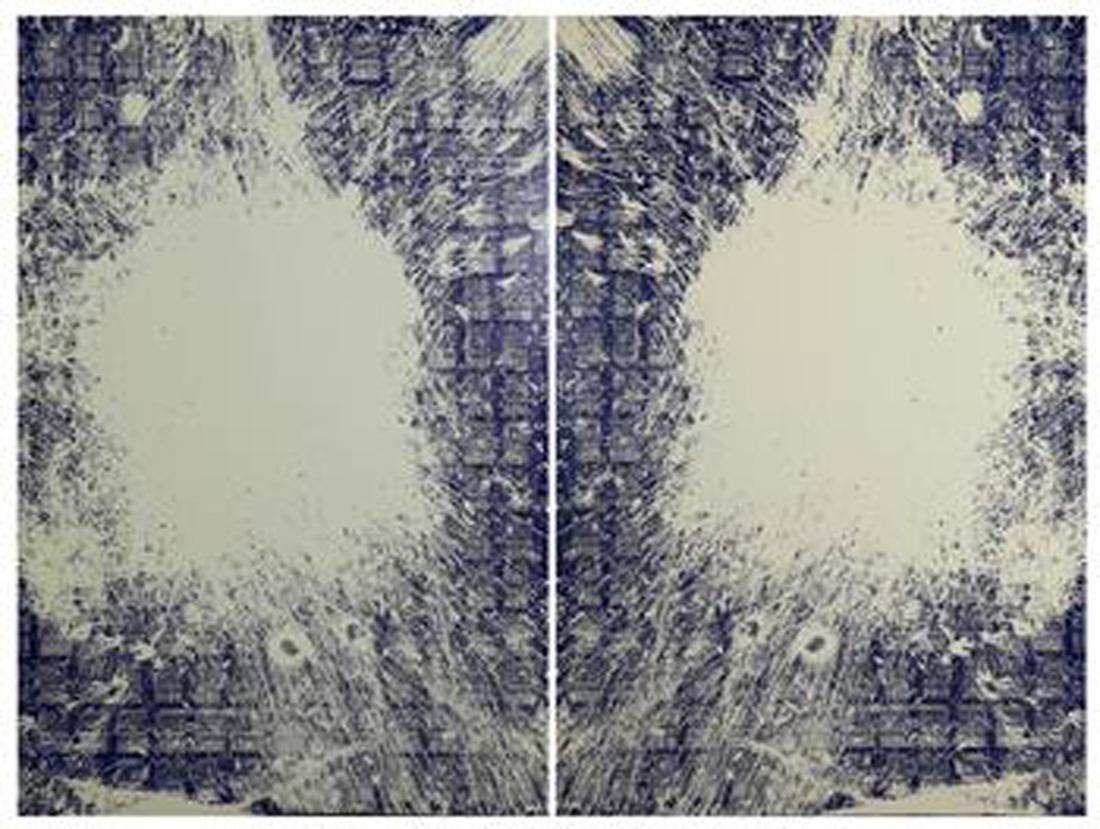 Microfiche Studies, Peter Wegner (1 of 10)