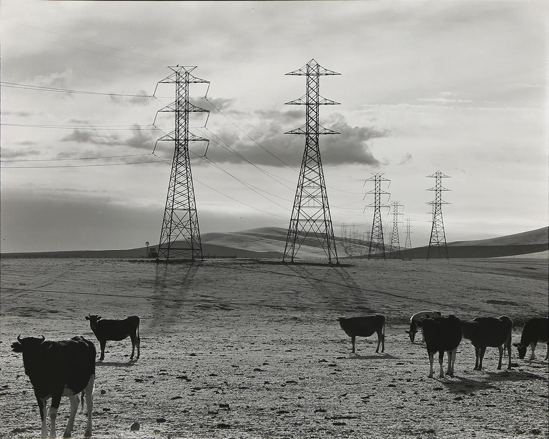 Photograph, Ansel Adams, Central Valley: Ansel Adams (American, 1902-1984), "Central Valley," circa 1949, gelatin silver print, titled in pen verso, artist stamp "Photograph by Ansel Adams 131 - 24th Avenue, San Francisco, NEG. NO...." stamp