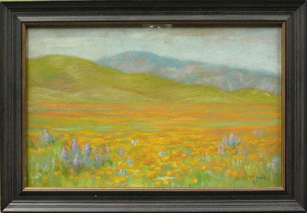 Pastel, Fanny Duvall, Californian: Framed pastel, Poppy Fields, Antelope Valley, Southern California, by Fanny Eliza Duvall (Californian, 1861-1934), signed F. E. Duvall lower right, sight: 12.5''h x 19.5''w, overall: 16.5''h x 23.25''