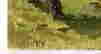item-72602055=2