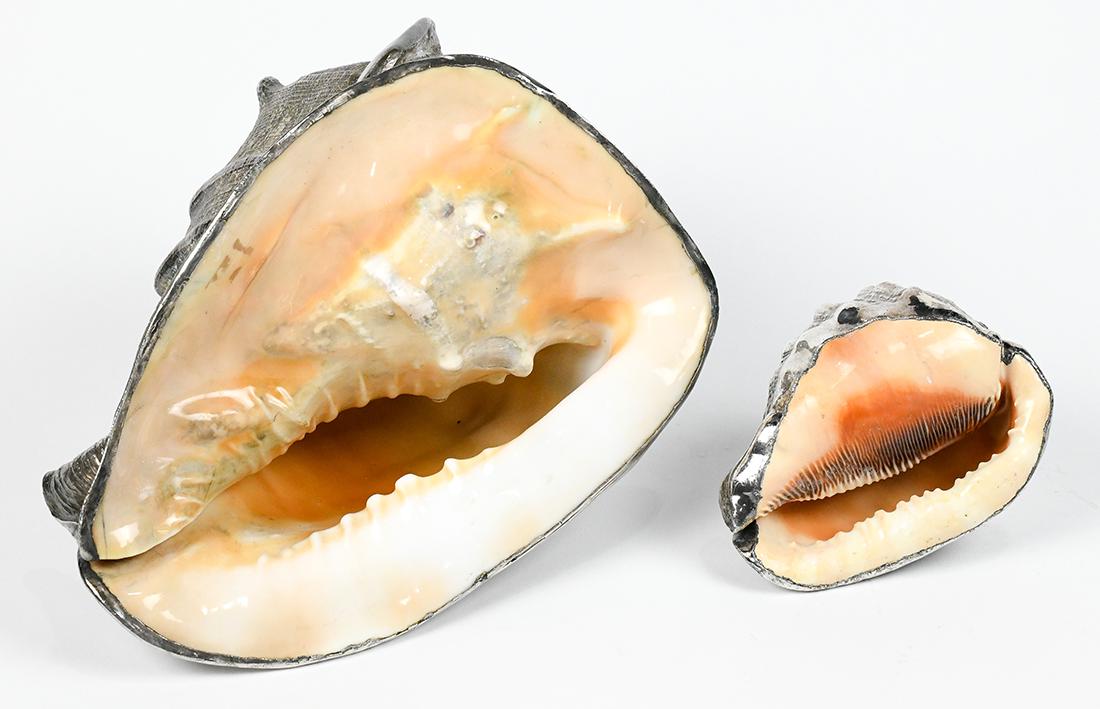 (lot of 2) Electroplated natural shell group (1 of 3)