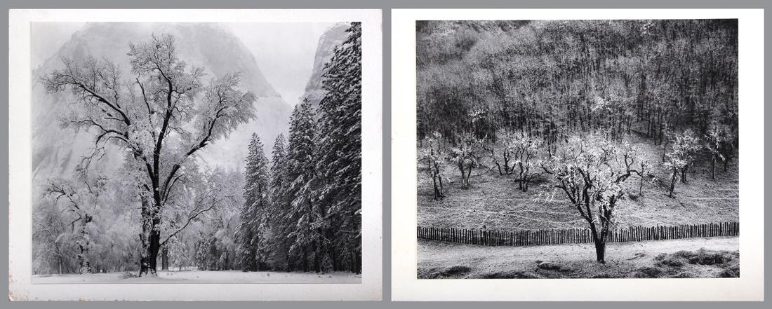Prints, After Ansel Adams (1 of 3)