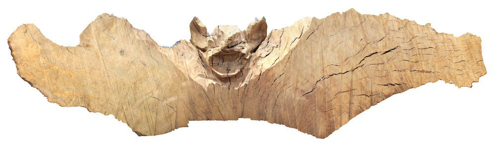 Wood Sculpture, David Nash: David Nash (British, b. 1945), Madrone Bat, 1995, carved wood, unsigned, overall: 16"h x 43"w x 116"d. Provenance: Gifted by the artist to current owner from Refusalon.